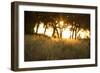Duba Plains Landscape-Michele Westmorland-Framed Photographic Print