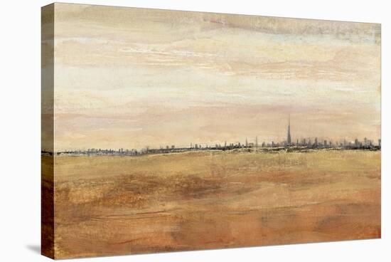 Dubai Landscape I-Tim OToole-Stretched Canvas