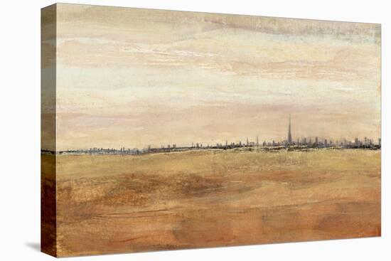 Dubai Landscape I-Tim OToole-Stretched Canvas