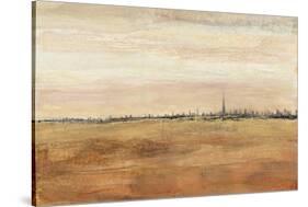 Dubai Landscape I-Tim OToole-Stretched Canvas