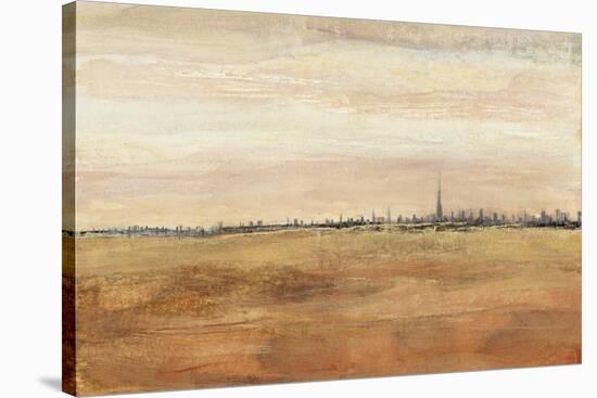 Dubai Landscape I-Tim OToole-Stretched Canvas