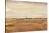 Dubai Landscape II-Tim OToole-Stretched Canvas