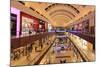 Dubai Mall, the World's Biggest, Dubai, United Arab Emirates, Middle East-Amanda Hall-Mounted Photographic Print