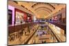 Dubai Mall, the World's Biggest, Dubai, United Arab Emirates, Middle East-Amanda Hall-Mounted Photographic Print