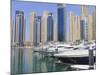 Dubai Marina, Dubai, United Arab Emirates, Middle East-Amanda Hall-Mounted Photographic Print