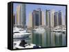 Dubai Marina, Dubai, United Arab Emirates, Middle East-Amanda Hall-Framed Stretched Canvas