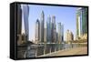 Dubai Marina, Dubai, United Arab Emirates, Middle East-Amanda Hall-Framed Stretched Canvas