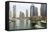 Dubai Marina, Dubai, United Arab Emirates, Middle East-Amanda Hall-Framed Stretched Canvas