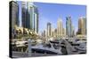 Dubai Marina, Dubai, United Arab Emirates, Middle East-Amanda Hall-Stretched Canvas