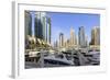 Dubai Marina, Dubai, United Arab Emirates, Middle East-Amanda Hall-Framed Photographic Print