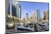 Dubai Marina, Dubai, United Arab Emirates, Middle East-Amanda Hall-Mounted Photographic Print