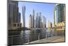 Dubai Marina, Dubai, United Arab Emirates, Middle East-Amanda Hall-Mounted Photographic Print