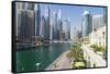 Dubai Marina, Dubai, United Arab Emirates, Middle East-Fraser Hall-Framed Stretched Canvas