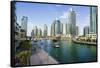 Dubai Marina, Dubai, United Arab Emirates, Middle East-Fraser Hall-Framed Stretched Canvas