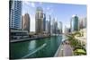 Dubai Marina, Dubai, United Arab Emirates, Middle East-Fraser Hall-Stretched Canvas