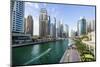 Dubai Marina, Dubai, United Arab Emirates, Middle East-Fraser Hall-Mounted Photographic Print