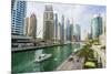 Dubai Marina, Dubai, United Arab Emirates, Middle East-Fraser Hall-Mounted Premium Photographic Print