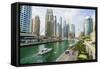 Dubai Marina, Dubai, United Arab Emirates, Middle East-Fraser Hall-Framed Stretched Canvas