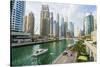 Dubai Marina, Dubai, United Arab Emirates, Middle East-Fraser Hall-Stretched Canvas