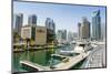 Dubai Marina, Dubai, United Arab Emirates, Middle East-Fraser Hall-Mounted Photographic Print