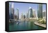 Dubai Marina, Dubai, United Arab Emirates. Middle East-Fraser Hall-Framed Stretched Canvas