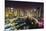 Dubai Marina, Dubai, United Arab Emirates, Middle East-Fraser Hall-Mounted Photographic Print