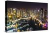 Dubai Marina, Dubai, United Arab Emirates, Middle East-Fraser Hall-Stretched Canvas