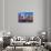 Dubai Marina, Dubai, United Arab Emirates, Middle East-Fraser Hall-Stretched Canvas displayed on a wall