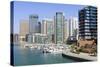 Dubai Marina-Fraser Hall-Stretched Canvas