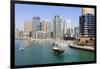 Dubai Marina-Fraser Hall-Framed Photographic Print