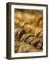 Dubai Souk, Dubai, United Arab Emirates-Walter Bibikow-Framed Photographic Print