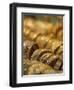 Dubai Souk, Dubai, United Arab Emirates-Walter Bibikow-Framed Photographic Print