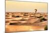 Dubai UAE - Sand Dunes Sunset-Philippe HUGONNARD-Mounted Photographic Print