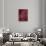 Dubai, United Arab Emirates Red Map-null-Stretched Canvas displayed on a wall