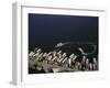 Dubai. Water taxis at work by Deira wharf-Werner Forman-Framed Giclee Print