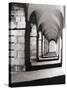 Dublin arches-Tom Quartermaine-Stretched Canvas