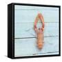 Dublin Bay Prawn (Scampo)-Koops Holsten-Framed Stretched Canvas