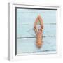 Dublin Bay Prawn (Scampo)-Koops Holsten-Framed Photographic Print