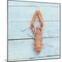 Dublin Bay Prawn (Scampo)-Koops Holsten-Mounted Photographic Print