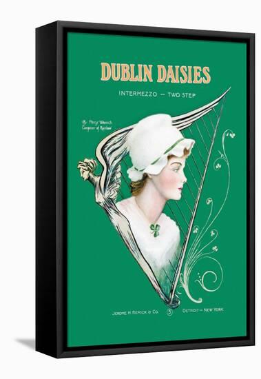 Dublin Daisies-null-Framed Stretched Canvas