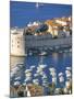 Dubrovnik, Croatia-Peter Adams-Mounted Photographic Print