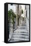 Dubrovnik Old Town, One of the Narrow Side Streets, Dubrovnik, Croatia, Europe-Matthew Williams-Ellis-Framed Stretched Canvas