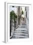 Dubrovnik Old Town, One of the Narrow Side Streets, Dubrovnik, Croatia, Europe-Matthew Williams-Ellis-Framed Photographic Print