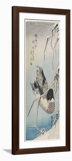 Duck and Snowy Reeds, Early 1830s-Utagawa Hiroshige-Framed Giclee Print