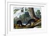 Duck-Billed Platypus, 1860-null-Framed Giclee Print