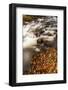 Duck Brook in Fall in Maine's Acadia National Park-Jerry & Marcy Monkman-Framed Photographic Print