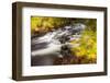 Duck Brook in Fall in Maine's Acadia National Park-Jerry & Marcy Monkman-Framed Photographic Print