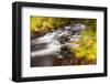 Duck Brook in Fall in Maine's Acadia National Park-Jerry & Marcy Monkman-Framed Photographic Print