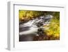 Duck Brook in Fall in Maine's Acadia National Park-Jerry & Marcy Monkman-Framed Photographic Print