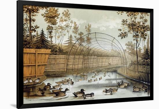 Duck Decoy in Operation Entrance-null-Framed Art Print